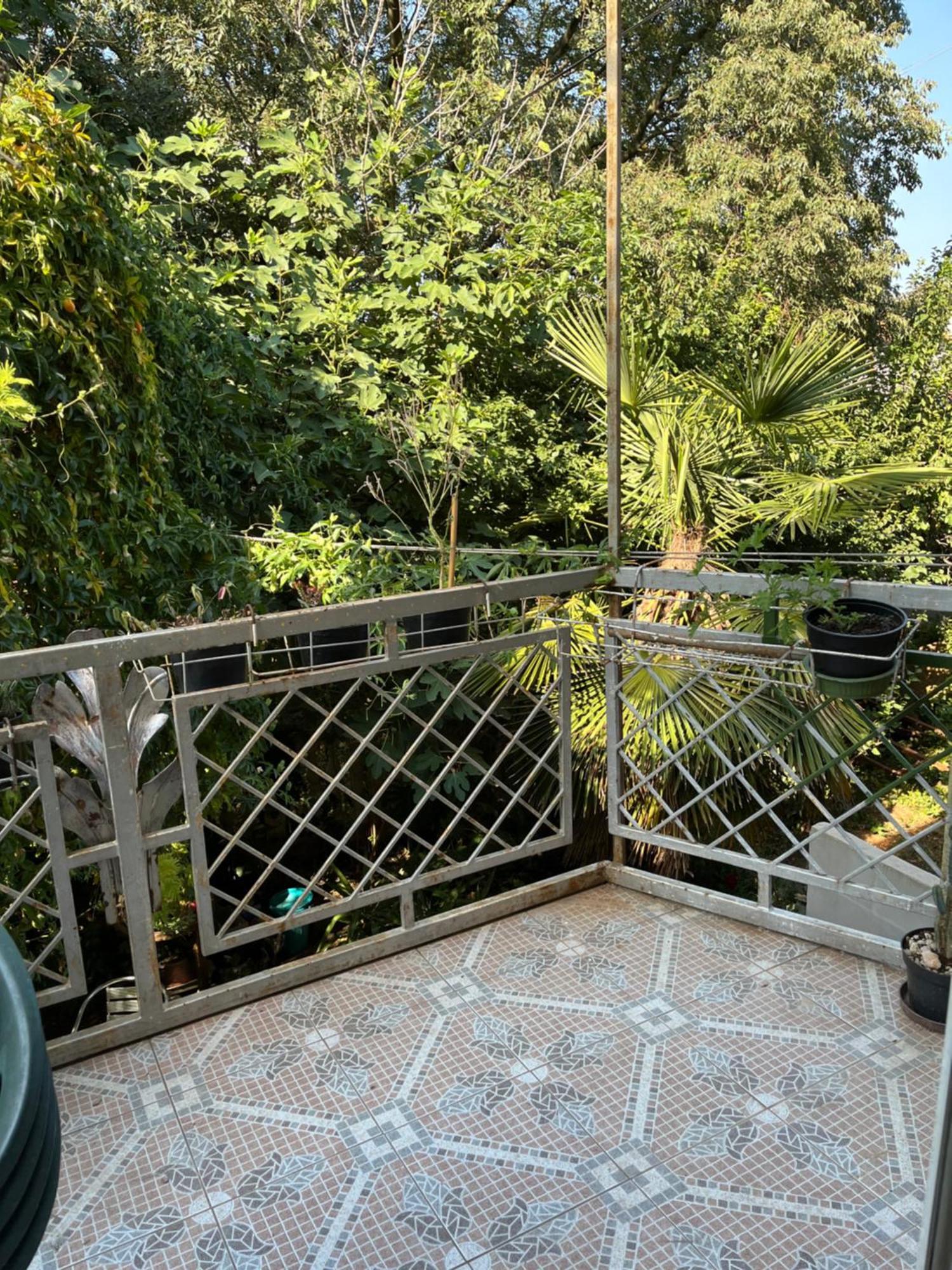 Apartma Zeleni